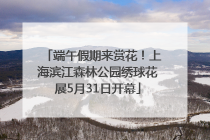 端午假期来赏花！上海滨江森林公园绣球花展5月31日开幕