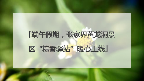 端午假期，张家界黄龙洞景区“粽香驿站”暖心上线
