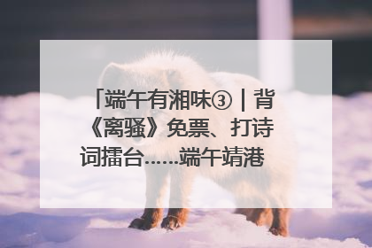 端午有湘味③｜背《离骚》免票、打诗词擂台……端午靖港古镇趣味多
