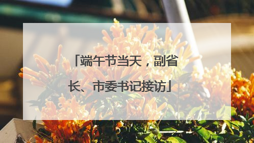 端午节当天，副省长、市委书记接访