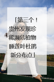 第三个！贵州发现珍稀濒危植物睡莲叶杜鹃新分布点