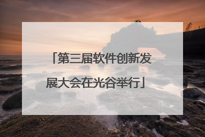 第三届软件创新发展大会在光谷举行