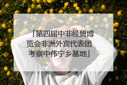 第四届中非经贸博览会非洲外宾代表团考察中伟宁乡基地