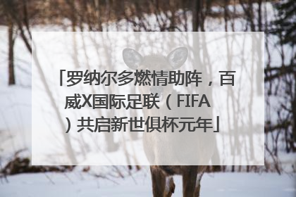 罗纳尔多燃情助阵，百威X国际足联（FIFA）共启新世俱杯元年