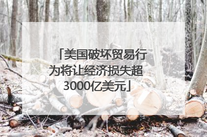 美国破坏贸易行为将让经济损失超3000亿美元