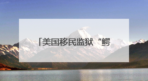美国移民监狱“鳄鱼恶魔岛”正式启用，内部画面曝光：配备400多名安保人员，上下铺床位被罩在铁丝网里