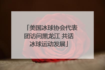 美国冰球协会代表团访问黑龙江 共话冰球运动发展