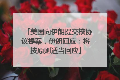 美国向伊朗提交核协议提案，伊朗回应：将按原则适当回应