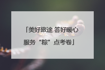 美好旅途 答好暖心服务“粽”点考卷