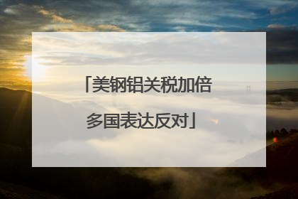 美钢铝关税加倍 多国表达反对
