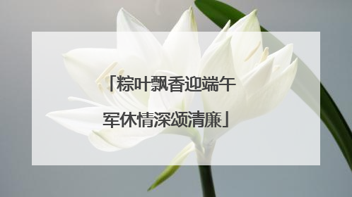 粽叶飘香迎端午 军休情深颂清廉
