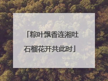粽叶飘香连湘吐 石榴花开共此时