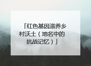 红色基因滋养乡村沃土（地名中的抗战记忆）