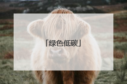 绿色低碳