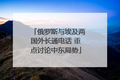 俄罗斯与埃及两国外长通电话 重点讨论中东局势