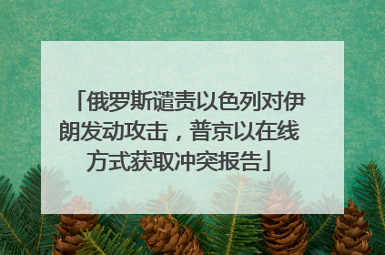 俄罗斯谴责以色列对伊朗发动攻击，普京以在线方式获取冲突报告