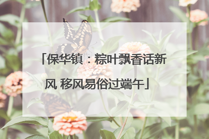 保华镇：粽叶飘香话新风 移风易俗过端午