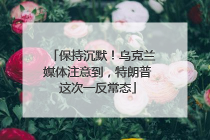 保持沉默！乌克兰媒体注意到，特朗普这次一反常态