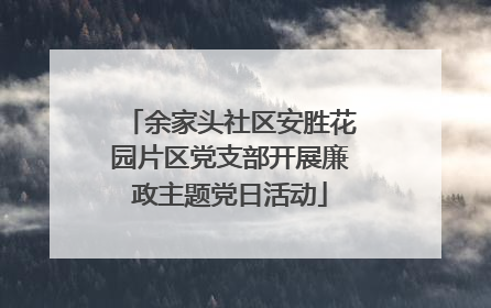 余家头社区安胜花园片区党支部开展廉政主题党日活动