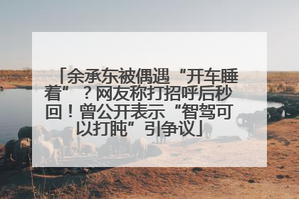 余承东被偶遇“开车睡着”？网友称打招呼后秒回！曾公开表示“智驾可以打盹”引争议
