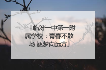 临汾一中第一附属学校：青春不散场 逐梦向远方