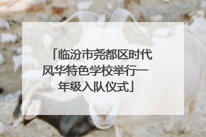 临汾市尧都区时代风华特色学校举行一年级入队仪式