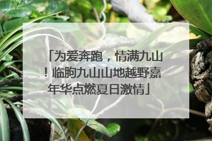 为爱奔跑，情满九山！临朐九山山地越野嘉年华点燃夏日激情