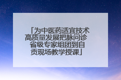 为中医药适宜技术高质量发展把脉问诊 省级专家组团到自贡现场教学授课