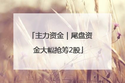 主力资金｜尾盘资金大幅抢筹2股