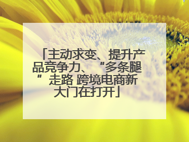 主动求变、提升产品竞争力、“多条腿”走路 跨境电商新大门在打开
