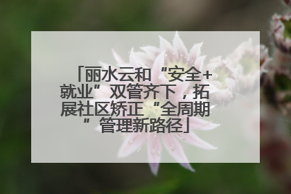 丽水云和“安全+就业”双管齐下，拓展社区矫正“全周期”管理新路径
