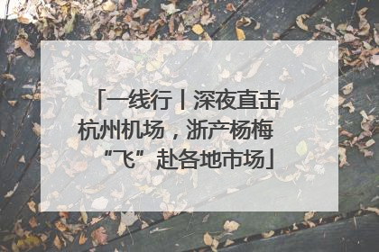 一线行丨深夜直击杭州机场，浙产杨梅“飞”赴各地市场