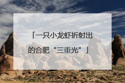 一只小龙虾折射出的合肥“三重光”
