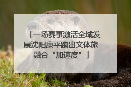 一场赛事激活全域发展沈阳康平跑出文体旅融合“加速度”