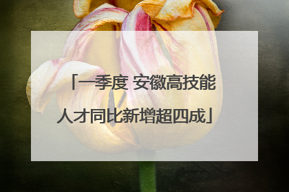 一季度 安徽高技能人才同比新增超四成