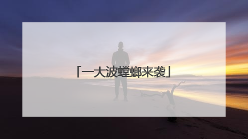 一大波螳螂来袭