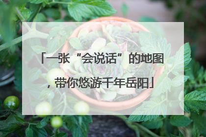 一张“会说话”的地图，带你悠游千年岳阳