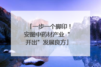 一步一个脚印！安图中药材产业“开出”发展良方