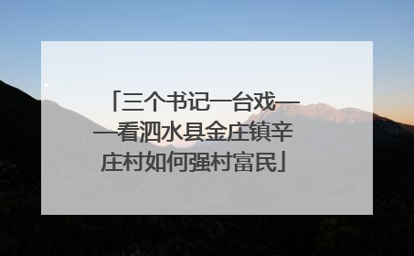 三个书记一台戏——看泗水县金庄镇辛庄村如何强村富民