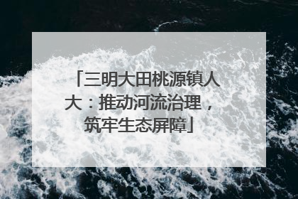 三明大田桃源镇人大：推动河流治理，筑牢生态屏障