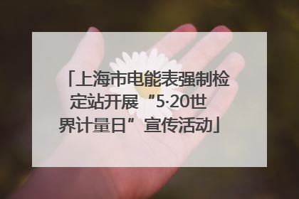 上海市电能表强制检定站开展“5·20世界计量日”宣传活动
