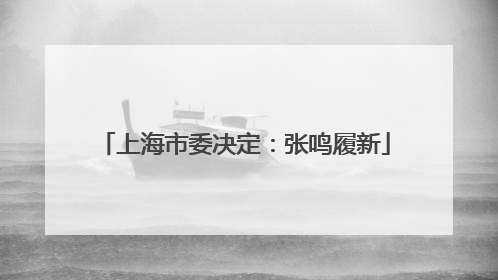 上海市委决定：张鸣履新