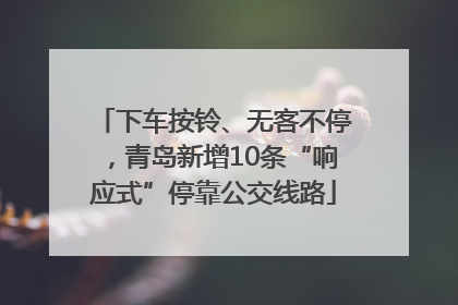 下车按铃、无客不停，青岛新增10条“响应式”停靠公交线路
