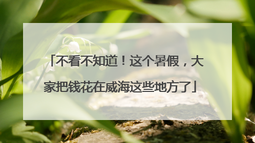 不看不知道！这个暑假，大家把钱花在威海这些地方了