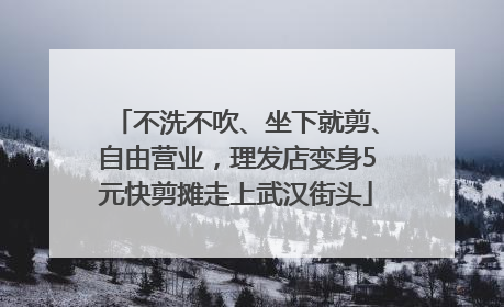 不洗不吹、坐下就剪、自由营业，理发店变身5元快剪摊走上武汉街头