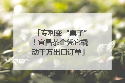 专利变“票子”！宜昌茶企凭它撬动千万出口订单