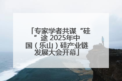 专家学者共谋“硅”途 2025年中国（乐山）硅产业链发展大会开幕