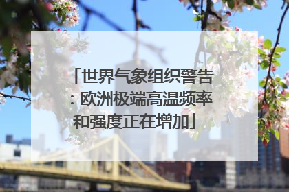 世界气象组织警告：欧洲极端高温频率和强度正在增加