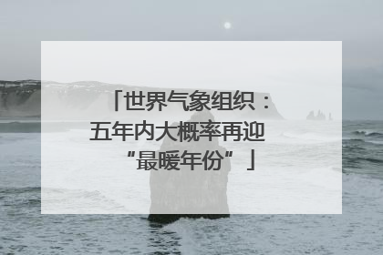 世界气象组织：五年内大概率再迎“最暖年份”