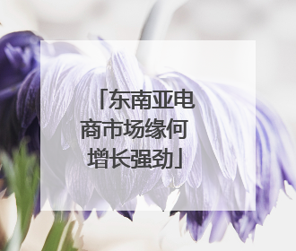 东南亚电商市场缘何增长强劲